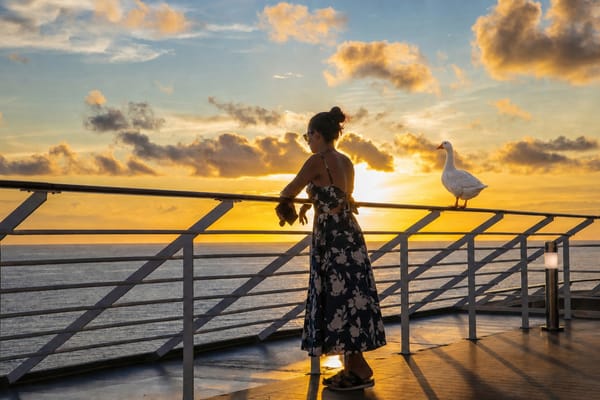 Travel you can trust